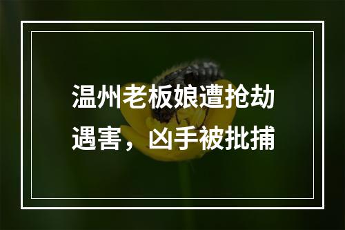 温州老板娘遭抢劫遇害，凶手被批捕