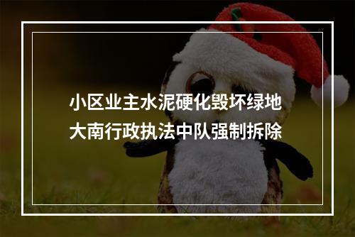 小区业主水泥硬化毁坏绿地 大南行政执法中队强制拆除