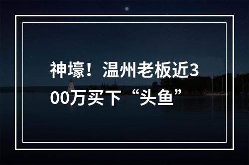 神壕！温州老板近300万买下“头鱼”