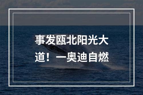 事发瓯北阳光大道！一奥迪自燃