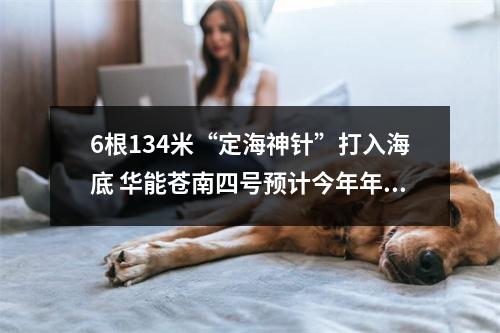 6根134米“定海神针”打入海底 华能苍南四号预计今年年底投产