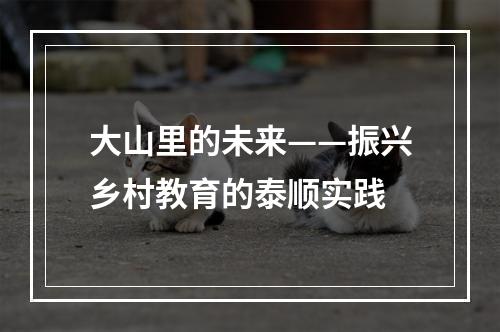 大山里的未来——振兴乡村教育的泰顺实践