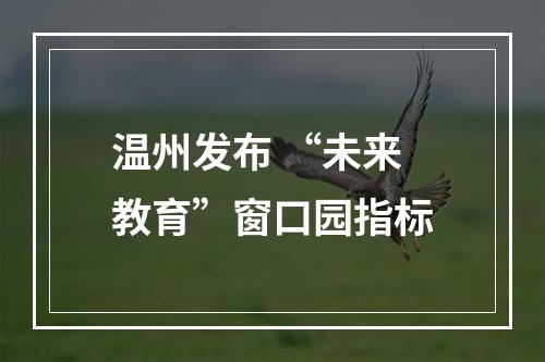温州发布 “未来教育”窗口园指标