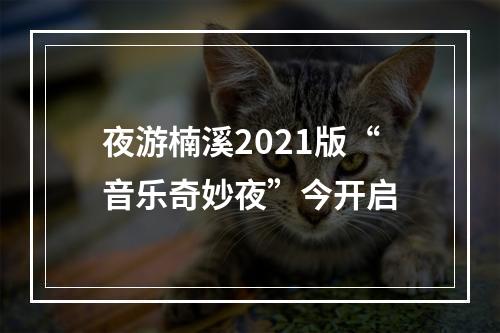 夜游楠溪2021版“音乐奇妙夜”今开启
