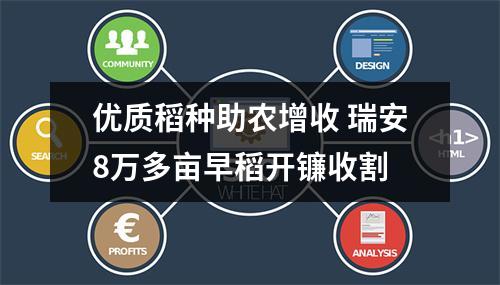 优质稻种助农增收 瑞安8万多亩早稻开镰收割