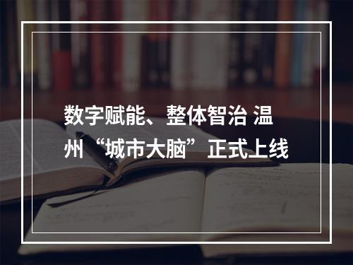 数字赋能、整体智治 温州“城市大脑”正式上线