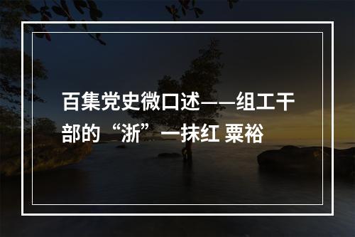百集党史微口述——组工干部的“浙”一抹红 粟裕