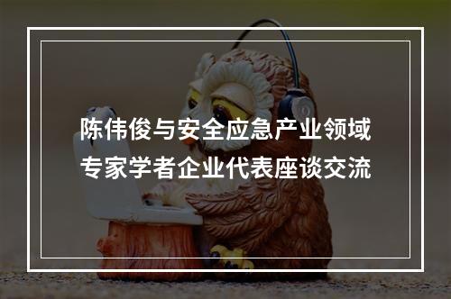 陈伟俊与安全应急产业领域专家学者企业代表座谈交流