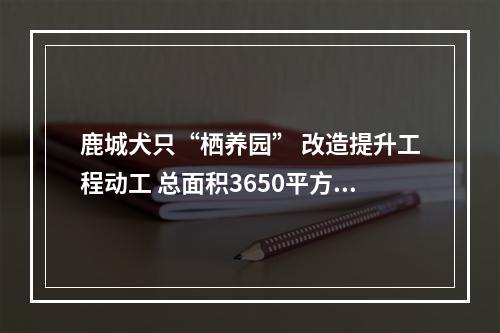 鹿城犬只“栖养园” 改造提升工程动工 总面积3650平方米