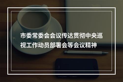 市委常委会会议传达贯彻中央巡视工作动员部署会等会议精神