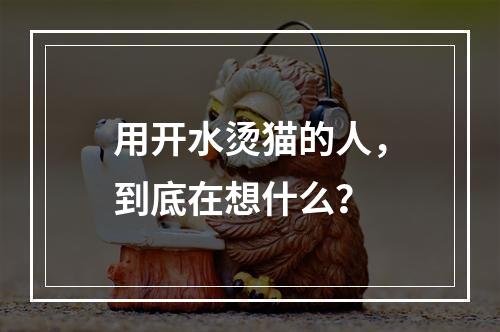 用开水烫猫的人，到底在想什么？