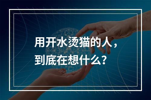 用开水烫猫的人，到底在想什么？