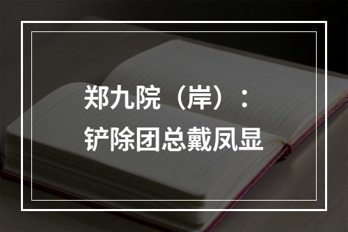 郑九院（岸）：铲除团总戴凤显
