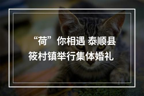 “荷”你相遇 泰顺县筱村镇举行集体婚礼