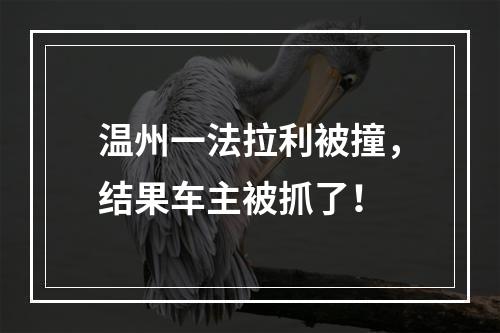 温州一法拉利被撞，结果车主被抓了！