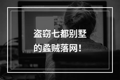 盗窃七都别墅的蟊贼落网！