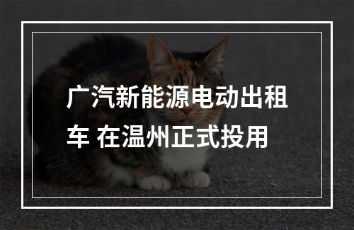 广汽新能源电动出租车 在温州正式投用