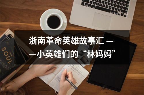 浙南革命英雄故事汇 ——小英雄们的“林妈妈”