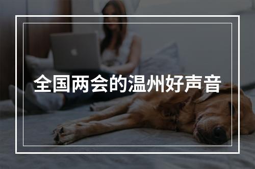 全国两会的温州好声音