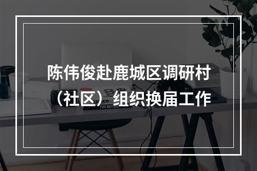 陈伟俊赴鹿城区调研村（社区）组织换届工作