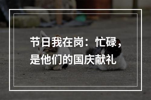 节日我在岗：忙碌，是他们的国庆献礼