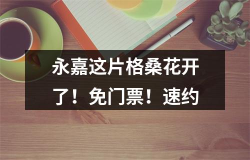 永嘉这片格桑花开了！免门票！速约