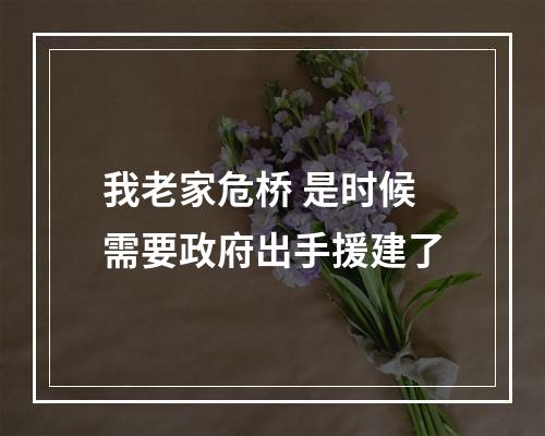 我老家危桥 是时候需要政府出手援建了