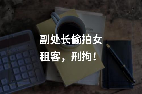 副处长偷拍女租客，刑拘！