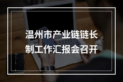 温州市产业链链长制工作汇报会召开