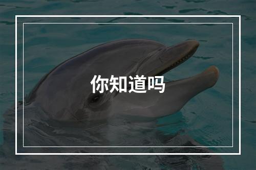 你知道吗