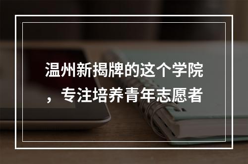 温州新揭牌的这个学院，专注培养青年志愿者