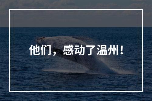 他们，感动了温州！