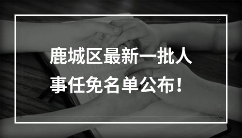 鹿城区最新一批人事任免名单公布！
