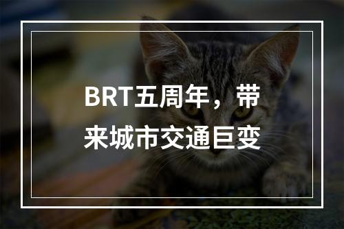 BRT五周年，带来城市交通巨变