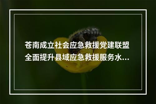 苍南成立社会应急救援党建联盟 全面提升县域应急救援服务水平