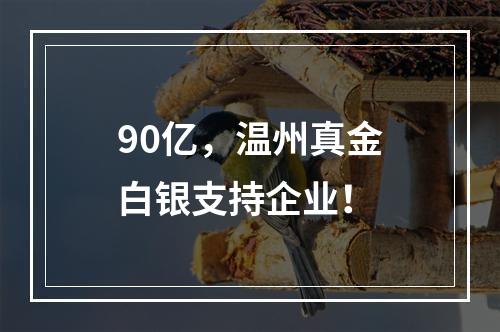 90亿，温州真金白银支持企业！