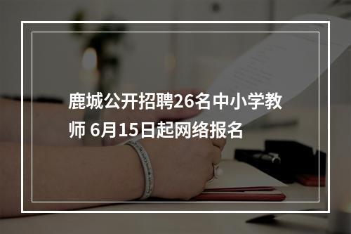 鹿城公开招聘26名中小学教师 6月15日起网络报名