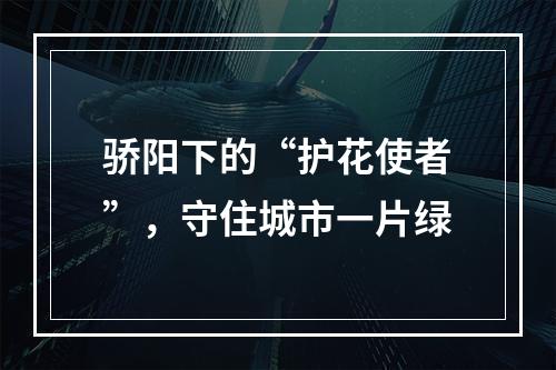 骄阳下的“护花使者”，守住城市一片绿