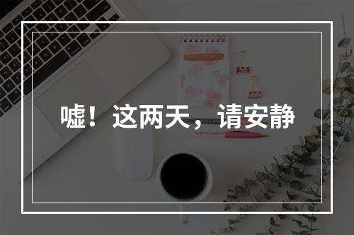 嘘！这两天，请安静