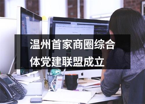 温州首家商圈综合体党建联盟成立