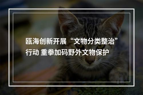 瓯海创新开展“文物分类整治”行动 重拳加码野外文物保护