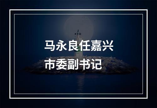 马永良任嘉兴市委副书记