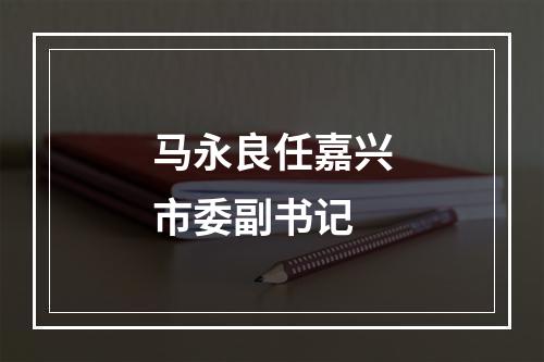 马永良任嘉兴市委副书记