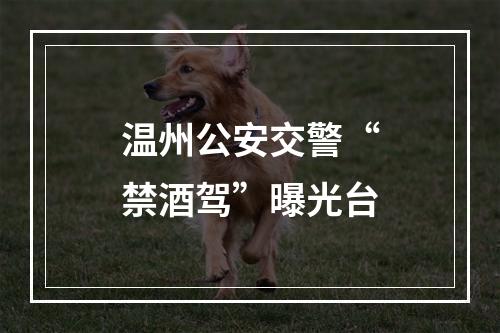 温州公安交警“禁酒驾”曝光台