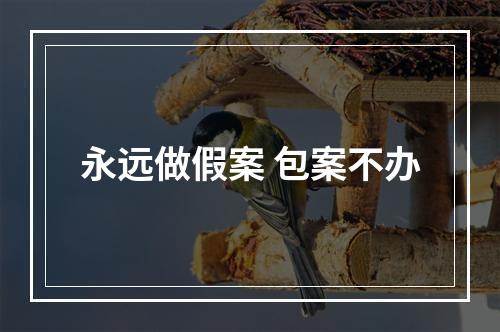 永远做假案 包案不办