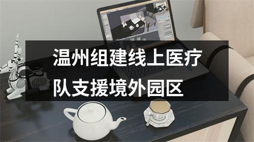温州组建线上医疗队支援境外园区