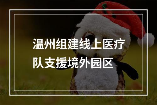 温州组建线上医疗队支援境外园区