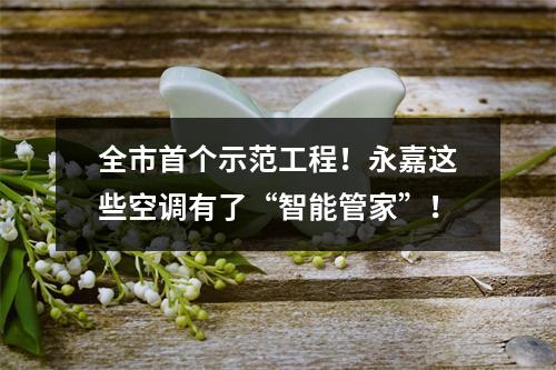 全市首个示范工程！永嘉这些空调有了“智能管家”！