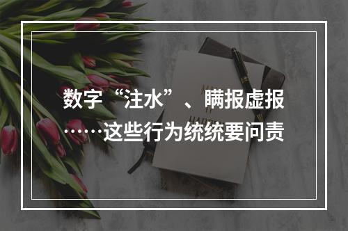 数字“注水”、瞒报虚报……这些行为统统要问责