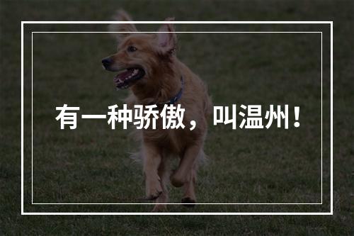 有一种骄傲，叫温州！